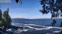 ./images/koeye/fitz-hugh/20260402/fitz-hugh20260402_113001M.jpg