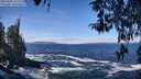 ./images/koeye/fitz-hugh/20260402/fitz-hugh20260402_113501M.jpg