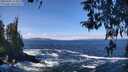 ./images/koeye/fitz-hugh/20260402/fitz-hugh20260402_114501M.jpg