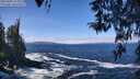 ./images/koeye/fitz-hugh/20260402/fitz-hugh20260402_115001M.jpg