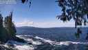 ./images/koeye/fitz-hugh/20260402/fitz-hugh20260402_123501M.jpg