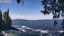 ./images/koeye/fitz-hugh/20260402/fitz-hugh20260402_124502M.jpg