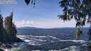 ./images/koeye/fitz-hugh/20260402/fitz-hugh20260402_125501M.jpg