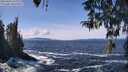 ./images/koeye/fitz-hugh/20260402/fitz-hugh20260402_130001M.jpg