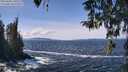 ./images/koeye/fitz-hugh/20260402/fitz-hugh20260402_130501M.jpg