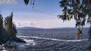 ./images/koeye/fitz-hugh/20260402/fitz-hugh20260402_131001M.jpg