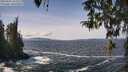 ./images/koeye/fitz-hugh/20260402/fitz-hugh20260402_131501M.jpg