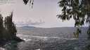 ./images/koeye/fitz-hugh/20260402/fitz-hugh20260402_134001M.jpg