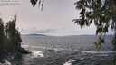 ./images/koeye/fitz-hugh/20260402/fitz-hugh20260402_134501M.jpg