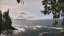 ./images/koeye/fitz-hugh/20260402/fitz-hugh20260402_142002M.jpg