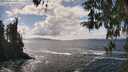 ./images/koeye/fitz-hugh/20260402/fitz-hugh20260402_145001M.jpg