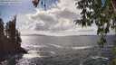 ./images/koeye/fitz-hugh/20260402/fitz-hugh20260402_151002M.jpg