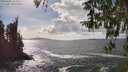 ./images/koeye/fitz-hugh/20260402/fitz-hugh20260402_152501M.jpg