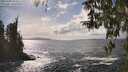 ./images/koeye/fitz-hugh/20260402/fitz-hugh20260402_153501M.jpg