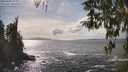 ./images/koeye/fitz-hugh/20260402/fitz-hugh20260402_154001M.jpg