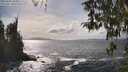 ./images/koeye/fitz-hugh/20260402/fitz-hugh20260402_154501M.jpg