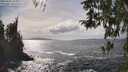 ./images/koeye/fitz-hugh/20260402/fitz-hugh20260402_155001M.jpg
