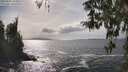 ./images/koeye/fitz-hugh/20260402/fitz-hugh20260402_155501M.jpg