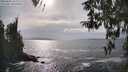 ./images/koeye/fitz-hugh/20260402/fitz-hugh20260402_162001M.jpg