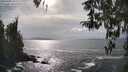 ./images/koeye/fitz-hugh/20260402/fitz-hugh20260402_162501M.jpg