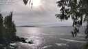 ./images/koeye/fitz-hugh/20260402/fitz-hugh20260402_163502M.jpg