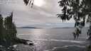 ./images/koeye/fitz-hugh/20260402/fitz-hugh20260402_164501M.jpg