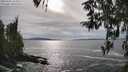 ./images/koeye/fitz-hugh/20260402/fitz-hugh20260402_165001M.jpg