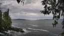 ./images/koeye/fitz-hugh/20260402/fitz-hugh20260402_170001M.jpg