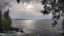 ./images/koeye/fitz-hugh/20260402/fitz-hugh20260402_170501M.jpg