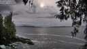 ./images/koeye/fitz-hugh/20260402/fitz-hugh20260402_171502M.jpg