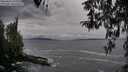 ./images/koeye/fitz-hugh/20260402/fitz-hugh20260402_172001M.jpg