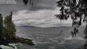 ./images/koeye/fitz-hugh/20260402/fitz-hugh20260402_174502M.jpg