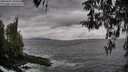 ./images/koeye/fitz-hugh/20260402/fitz-hugh20260402_180501M.jpg