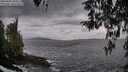 ./images/koeye/fitz-hugh/20260402/fitz-hugh20260402_181001M.jpg