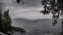 ./images/koeye/fitz-hugh/20260402/fitz-hugh20260402_181501M.jpg