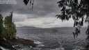 ./images/koeye/fitz-hugh/20260402/fitz-hugh20260402_182501M.jpg