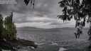 ./images/koeye/fitz-hugh/20260402/fitz-hugh20260402_183501M.jpg