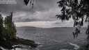 ./images/koeye/fitz-hugh/20260402/fitz-hugh20260402_184002M.jpg