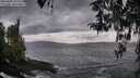 ./images/koeye/fitz-hugh/20260402/fitz-hugh20260402_185001M.jpg