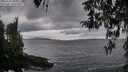 ./images/koeye/fitz-hugh/20260402/fitz-hugh20260402_190002M.jpg