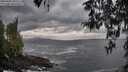 ./images/koeye/fitz-hugh/20260402/fitz-hugh20260402_193501M.jpg