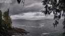 ./images/koeye/fitz-hugh/20260402/fitz-hugh20260402_194001M.jpg
