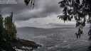 ./images/koeye/fitz-hugh/20260402/fitz-hugh20260402_195002M.jpg
