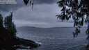 ./images/koeye/fitz-hugh/20260402/fitz-hugh20260402_202001M.jpg