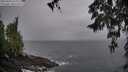 ./images/koeye/fitz-hugh/20260403/fitz-hugh20260403_073001M.jpg