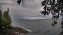 ./images/koeye/fitz-hugh/20260403/fitz-hugh20260403_090001M.jpg