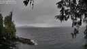./images/koeye/fitz-hugh/20260403/fitz-hugh20260403_115501M.jpg