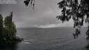 ./images/koeye/fitz-hugh/20260403/fitz-hugh20260403_140501M.jpg