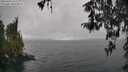 ./images/koeye/fitz-hugh/20260403/fitz-hugh20260403_141502M.jpg