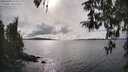 ./images/koeye/fitz-hugh/20260403/fitz-hugh20260403_163501M.jpg